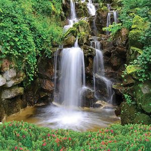 Euroart OBRAZ NA SKLE, krajina a příroda, 20/20/1, 40 cm obraz