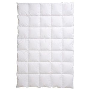 Centa-Star CELOROČNÍ PŘIKRÝVKA, 155/220 cm, peří, prachové peří obraz