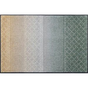 Esposa DVEŘNÍ ROHOŽKA, 75/120 cm, šedá, béžová, zelená obraz