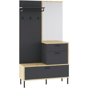 Carryhome ŠATNA, 113/197/40 cm obraz