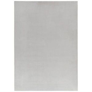 Novel KOBEREC S VYSOKÝM VLASEM, 120/160 cm, šedá, světle šedá obraz