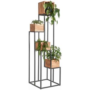 Ambia Home STOJAN NA KVĚTINY, akácie, černá, barvy akácie obraz