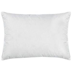 Billerbeck POLŠTÁŘ, 40/60 cm obraz