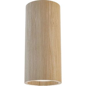 STROPNÍ BODOVÉ SVÍTIDLO, 6/13 cm obraz