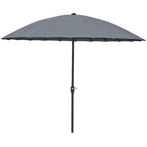 Gardenson SLUNEČNÍK obraz