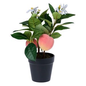 Ambia Home UMĚLÁ ROSTLINA broskev 30 cm obraz