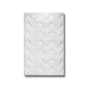 John Cotton LETNÍ PŘIKRÝVKA, 155/220 cm, obraz