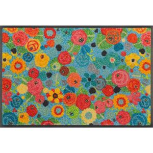 wash+dry DVEŘNÍ ROHOŽKA, 40/60 cm, vícebarevná obraz