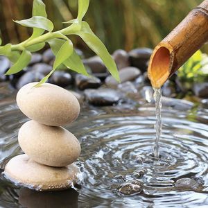 Euroart OBRAZ NA SKLE, zen, 30/30 cm obraz