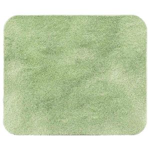 Esposa PŘEDLOŽKA K BIDETU, světle zelená obraz