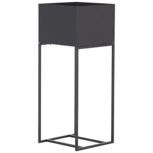 Landscape STOJAN NA KVĚTINY, černá obraz