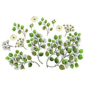 Euroart SAMOLEPKA NA ZEĎ obraz