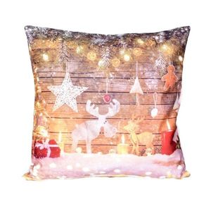 Fotopolštář, Sobi a světýlka, 40 x 40 cm samostatný návlek obraz