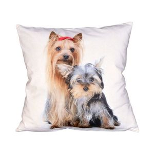 Fotonávlek, Kamarádi, 40 x 40 cm obraz