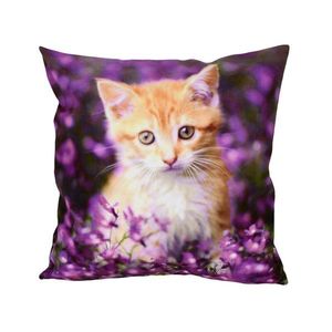 Fotonávlek, Kočička a fialky, 40 x 40 cm obraz