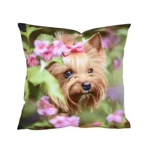 Fotonávlek, Jorkšír s mašličkou, 40 x 40 cm obraz