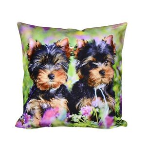 Fotonávlek, Dva jorkšírci na louce, 40 x 40 cm obraz