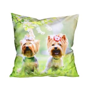 Fotonávlek, Dva jorkšírci s mašličkou, 40 x 40 cm obraz