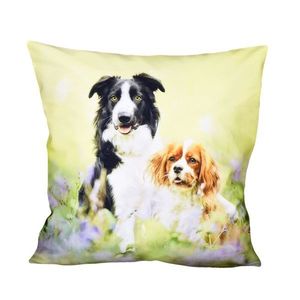 Fotonávlek, Dva pejsci na louce, 40 x 40 cm obraz