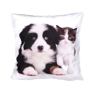 Fotonávlek, Štěně a bílé koťátko, 40 x 40 cm obraz