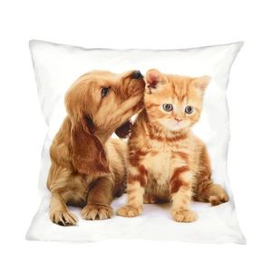 Fotonávlek, Štěně a mourek, 40 x 40 cm obraz