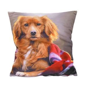 Fotonávlek, Pejsek s červenou dekou, 40 x 40 cm obraz