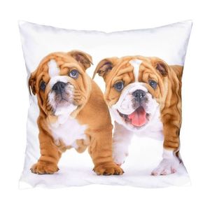 Fotonávlek, Dva buldočci, 40 x 40 cm obraz