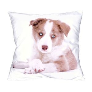 Fotonávlek, Modrooké štěňátko, 40 x 40 cm obraz