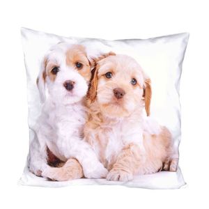 Fotonávlek, Dva mazlíci, 40 x 40 cm obraz