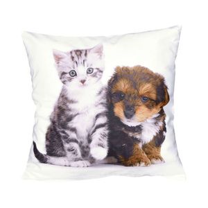 Fotonávlek, Štěně a roztomilé koťátko, 40 x 40 cm obraz