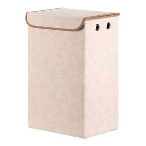 Koš na prádlo DT3009 Autronic obraz