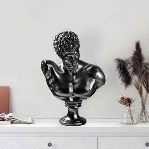 Dekorativní předmět Yak-042-C obraz