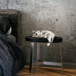 Dekorativní předmět Cat obraz