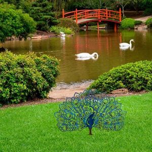 Zahradní dekorace Peacock v2 obraz