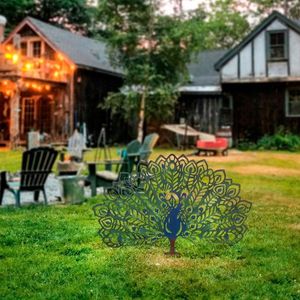 Zahradní dekorace Peacock obraz