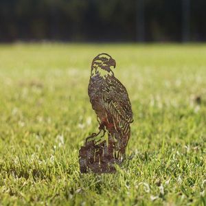 Zahradní dekorace Spy 02 obraz