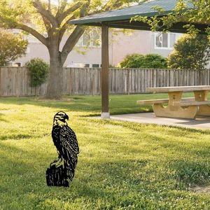 Zahradní dekorace Spy 01 obraz