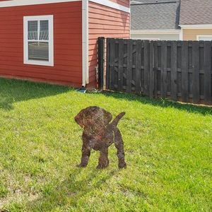 Zahradní dekorace Amicable 02 obraz