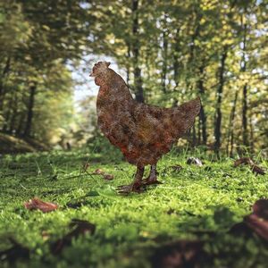 Zahradní dekorace Chicken -A 01 obraz