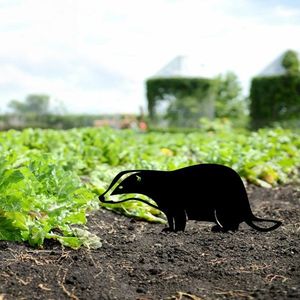 Zahradní dekorace Badger 01 obraz