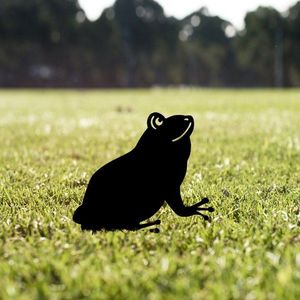 Zahradní dekorace Frog 01 obraz