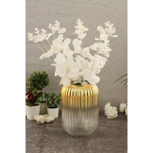 Vase Line D20G obraz