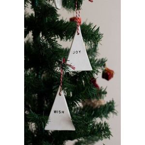 Christmas Tree Ornament BSY116 obraz
