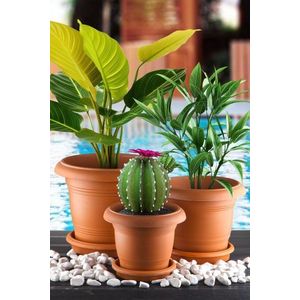 Vase Set ANTSKS-3 obraz