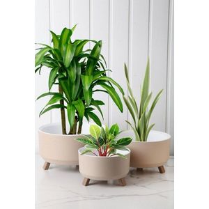 Vase Set TRPTSKS-3-3 obraz