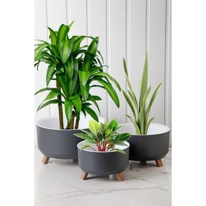 Vase Set TRPTSKS-1-3 obraz