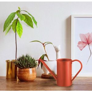 Kropící konev / Konev na zalévání SLK0007 obraz