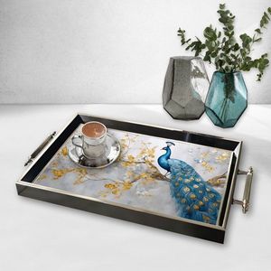 Tray TPG9925 - POSLEDNÍ KUS obraz