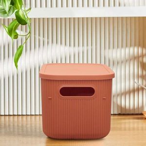 Storage Box 241781 obraz