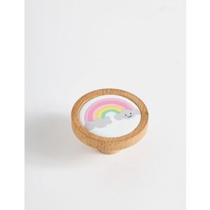 Decorative Handle Rainbow obraz